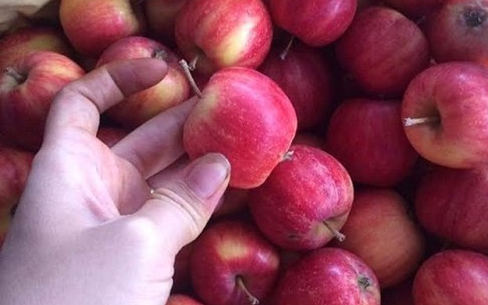 5 loại táo Trung Quốc đang bán đầy chợ Việt
